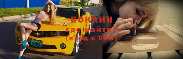 spice Няндома