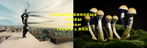гашиш Щучье