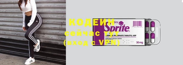 дурь Нягань