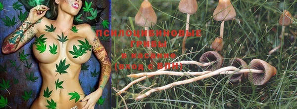 PSILOCYBIN Дмитровск