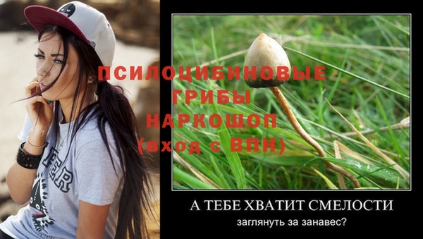 дурь Нягань