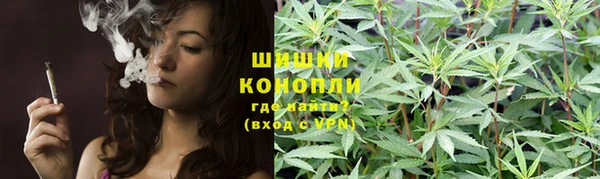 spice Няндома