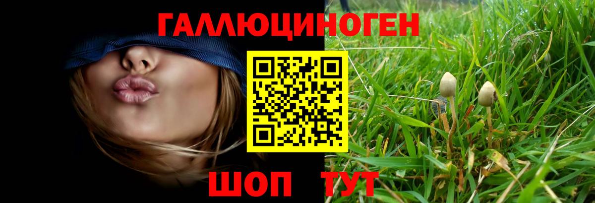 Заринск  Галлюциногенные грибы прущие грибы  Вход с VPN  Галлюциногенные грибы Magic Shrooms 