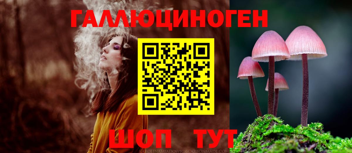 Галлюциногенные грибы Cubensis Заринск
